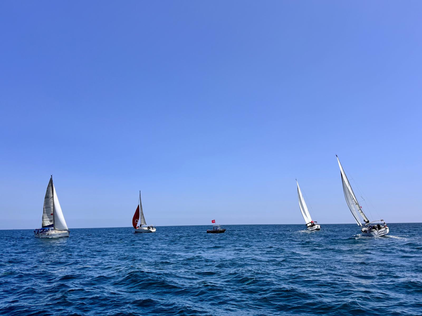 Newsletter Image